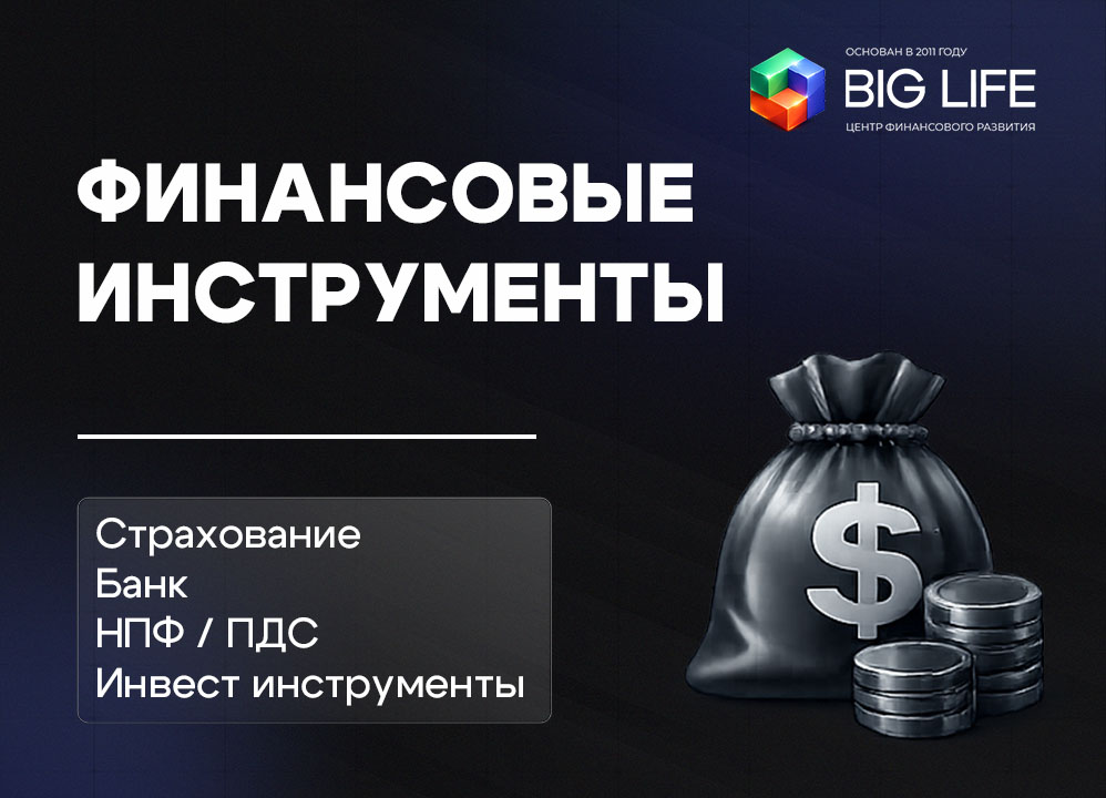 Финансовые инструмент Big LIFE